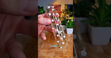 Tarte au citron translucide : une recette irrésistible !