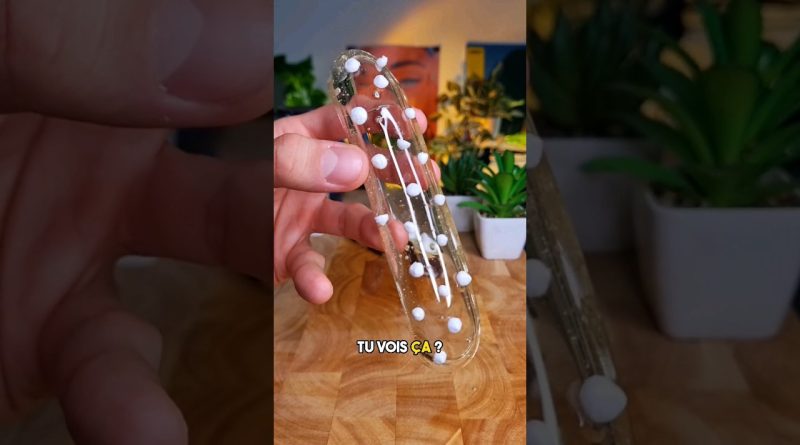 Tarte au citron translucide : une recette irrésistible !