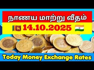 Taux de Change : Dollar, Euro et Échanges Monétaires