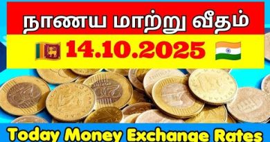 Taux de Change : Dollar, Euro et Échanges Monétaires