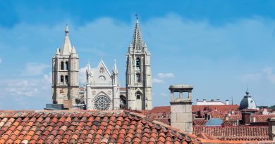 Grand Est, Strasbourg, Reims, vineyard, Alsace, Vosges, forest, cathedral, village