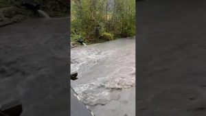 Tempête : La France en alerte maximale