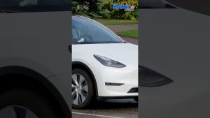 Tesla lance un Model Y moins cher après la fin des subventions