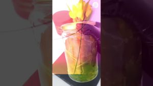 Thé Détox Maison : Purifiez Vos Reins Naturellement !