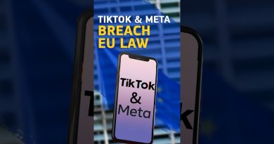 TikTok et Meta en violation de la Loi sur les services numériques