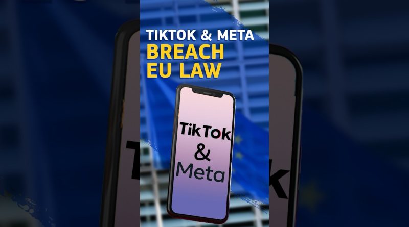 TikTok et Meta en violation de la Loi sur les services numériques