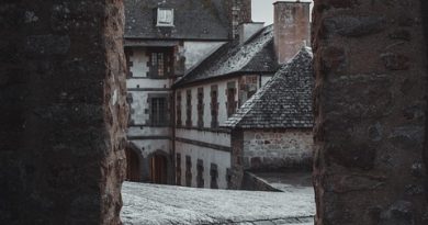 Normandie, Caen, Rouen, Mont-Saint-Michel, cliff, beach, cow, landscape, D-Day