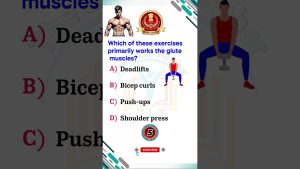 Tout savoir sur le gymnase : conseils et infos pratiques