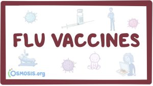 Tout savoir sur le vaccin contre la grippe