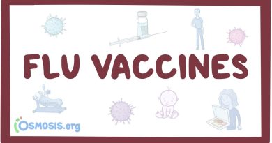 Tout savoir sur le vaccin contre la grippe