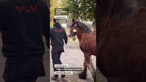 Trait du Nord : Prudence de Carnoy par Mathilde Blondiau