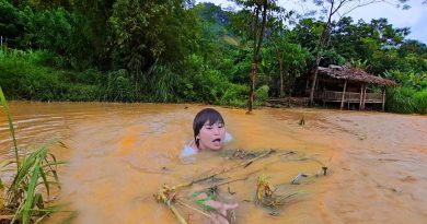 Trang face à la tempête Matmo : pourra-t-elle s'en sortir ?