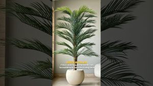 Transformez votre maison en oasis de fraîcheur !