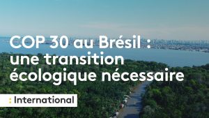 Transition écologique : enjeux de la COP 30 sur le terrain