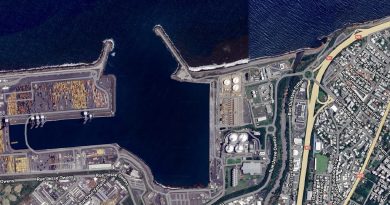 Port Réunion, transbordement