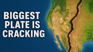 Tremblement de terre de la plaque pacifique : préparez-vous !