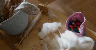 Tricot : Un Héritage à Préserver