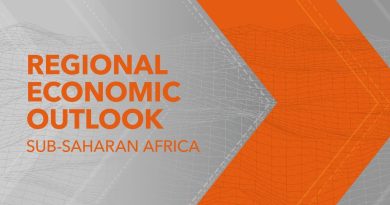Trois enseignements clés du dernier rapport économique d'Afrique subsaharienne