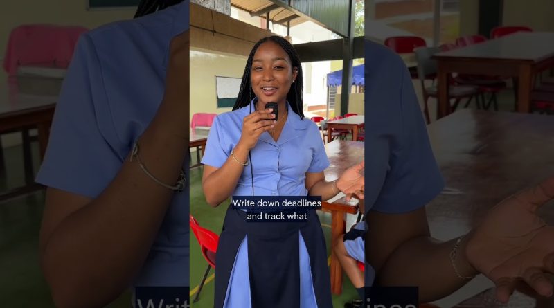 Trouver des bourses et des stages : nos conseils pratiques