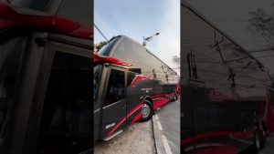 Tweety est là ! 🚍 #bus #juragan99 #busmania #reels