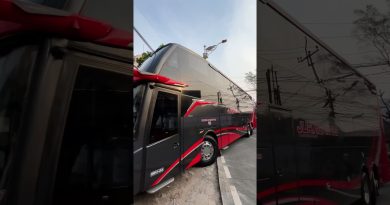 Tweety est là ! 🚍 #bus #juragan99 #busmania #reels