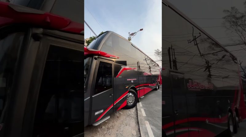 Tweety est là ! 🚍 #bus #juragan99 #busmania #reels