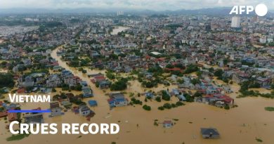 Typhon Matmo : bilan tragique de huit morts au Vietnam