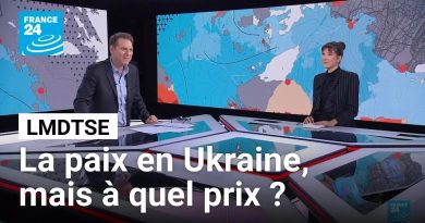 Ukraine : Quel coût pour la paix ? • FRANCE 24