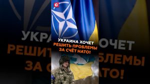 Ukraine : Vers une résolution des problèmes avec l'aide de l'OTAN