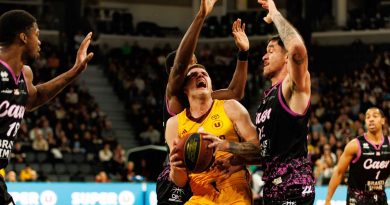 illustration agrandir l