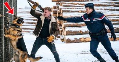 Un Policier Sauve une Chienne Berger Allemand Torturée sous la Neige