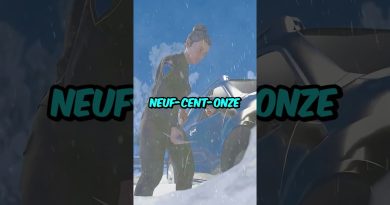 Un Rein Coincé Dans La Neige Secouru Juste À Temps