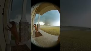 Un Tornade Emporte un Chien : Moment Terrifiant