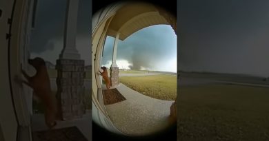 Un Tornade Emporte un Chien : Moment Terrifiant