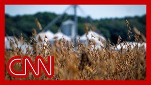 Un agriculteur de soja face aux tarifs de Trump : où vendre ?