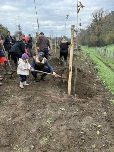 Un arbre planté pour chaque naissance : Vire Normandie fait des heureux et pense à la planète