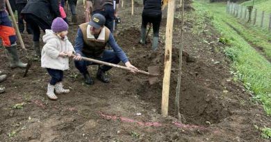 Un arbre planté pour chaque naissance : Vire Normandie fait des heureux et pense à la planète