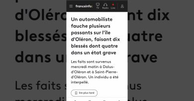 Un automobiliste fonce sur des piétons en criant Allah Akbar