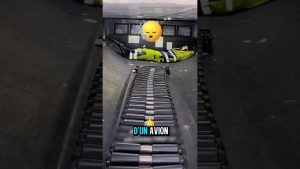 Un bagagiste coincé en soute pendant un vol ! 😱✈️