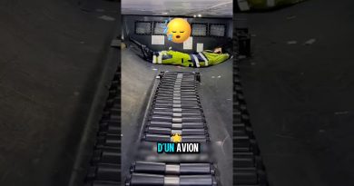 Un bagagiste coincé en soute pendant un vol ! 😱✈️