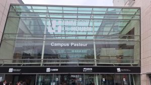 illustration agrandir l