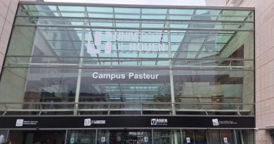 illustration agrandir l