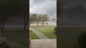 Un chat emporté par un énorme tornado filmé en direct