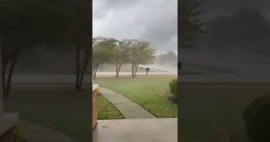 Un chat emporté par un énorme tornado filmé en direct