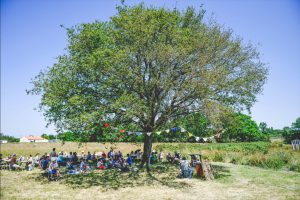 Un chêne de Vendée en lice au concours national de l'arbre de l'année : à vos votes
