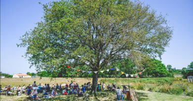 Un chêne de Vendée en lice au concours national de l'arbre de l'année : à vos votes