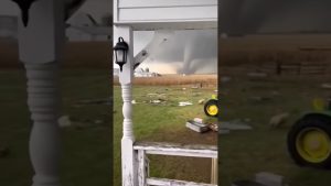 Un cochon pris dans une tornade filmée près de chez soi