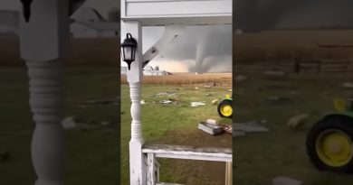 Un cochon pris dans une tornade filmée près de chez soi