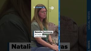 Un collie, un soutien émotionnel pour les élèves du primaire