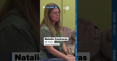 Un collie, un soutien émotionnel pour les élèves du primaire